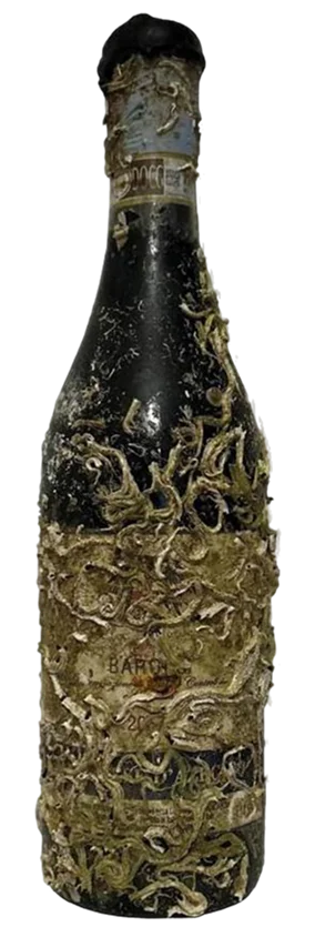Barolo Marchese d'Azeglio - Wine of the Sea