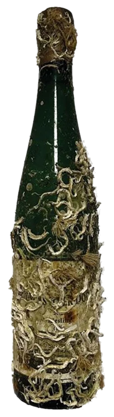 Bernkasteler Doctor - Wine of the Sea