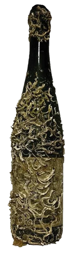 Bernkasteler Lay GG - Wine of the Sea
