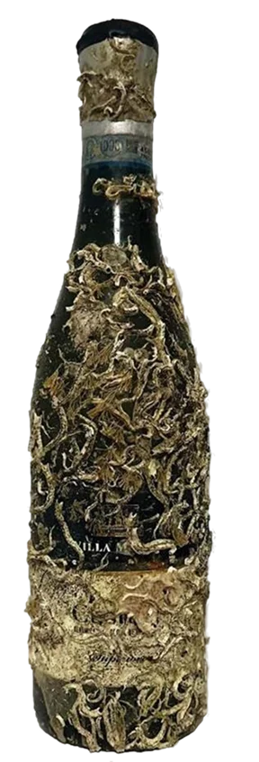 Custoza Superiore - Wine of the Sea
