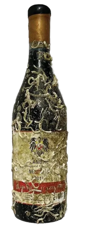 Nebbiolo Langhe - Wine of the Sea