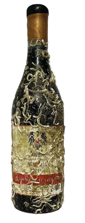Nebbiolo Langhe - Wine of the Sea