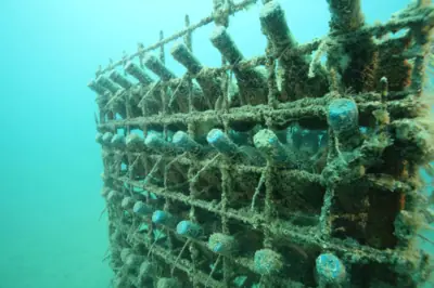 Wine of the Sea bottles aging in an underwater cage