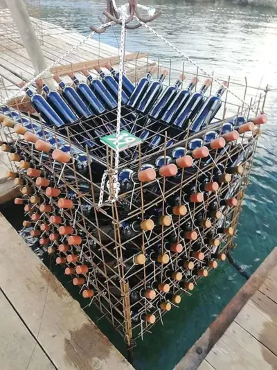 Wine of the Sea bottles prepared for underwater aging